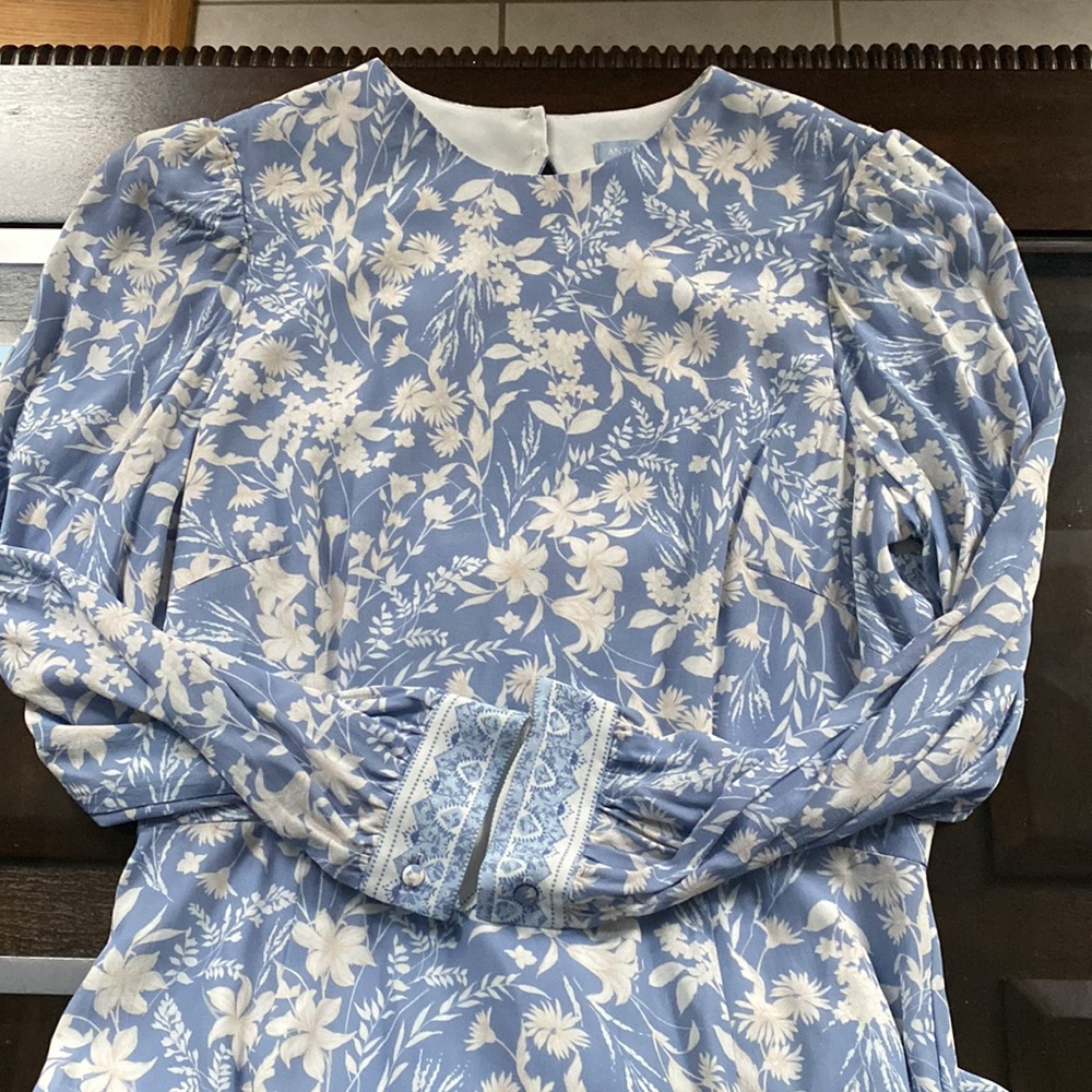 Antonio Melani
x Born on Fifth Alizee Long Sleeve Floral Print Midi Dress - Picture 10 of 15